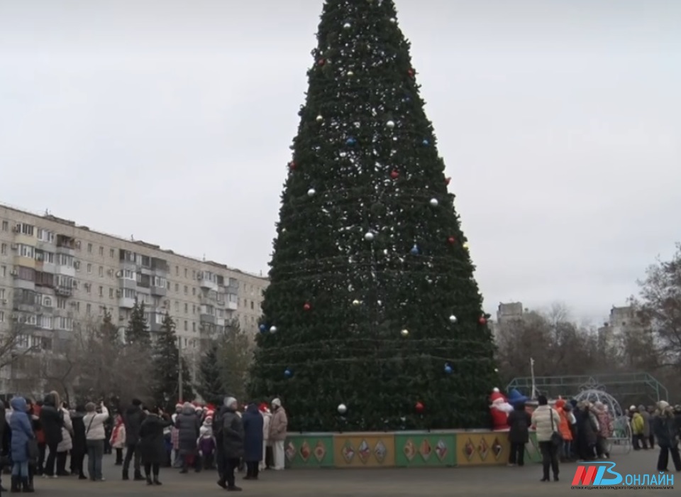 Волгоградцы обсуждают массовую суету перед Новым годом