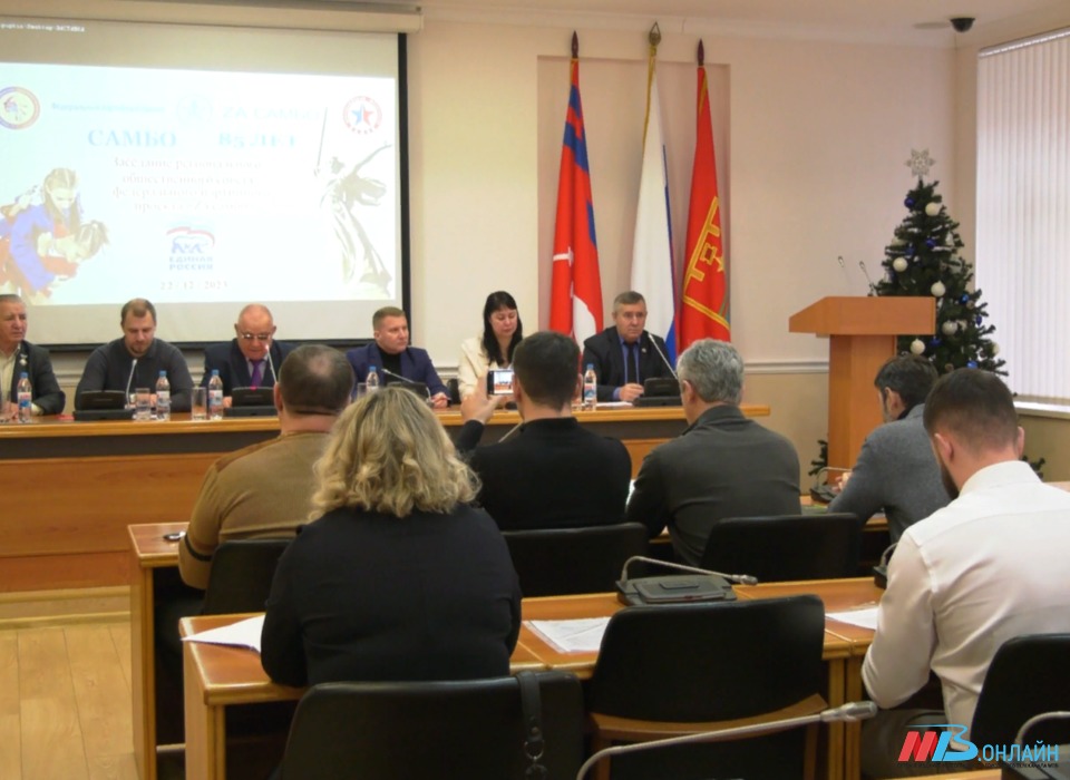В Волгограде подвели итоги работы по реализации партийного проекта ЕР «ZA самбо»