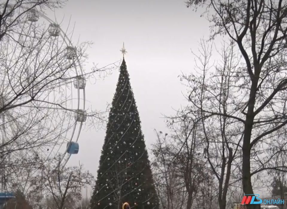 Дед Мороз и Снегурочка зажгут главную ёлку Волгограда 24 декабря