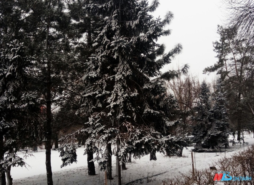 В Волгограде 24 декабря прогнозируют осадки и слабый минус