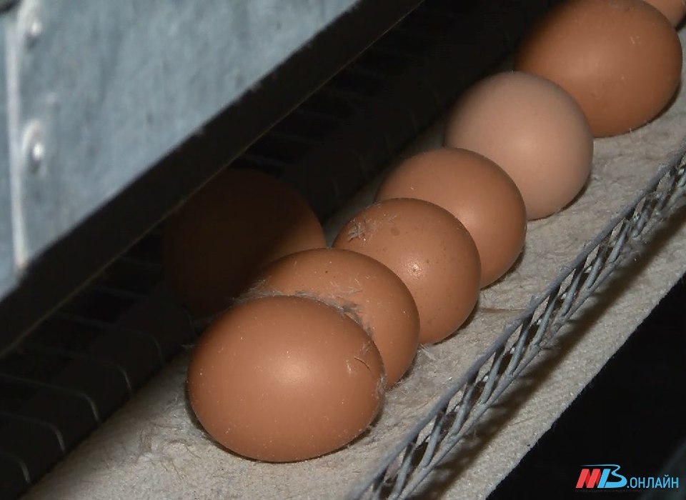 В Волгограде опровергли информацию о нехватке яиц на магазинных полках