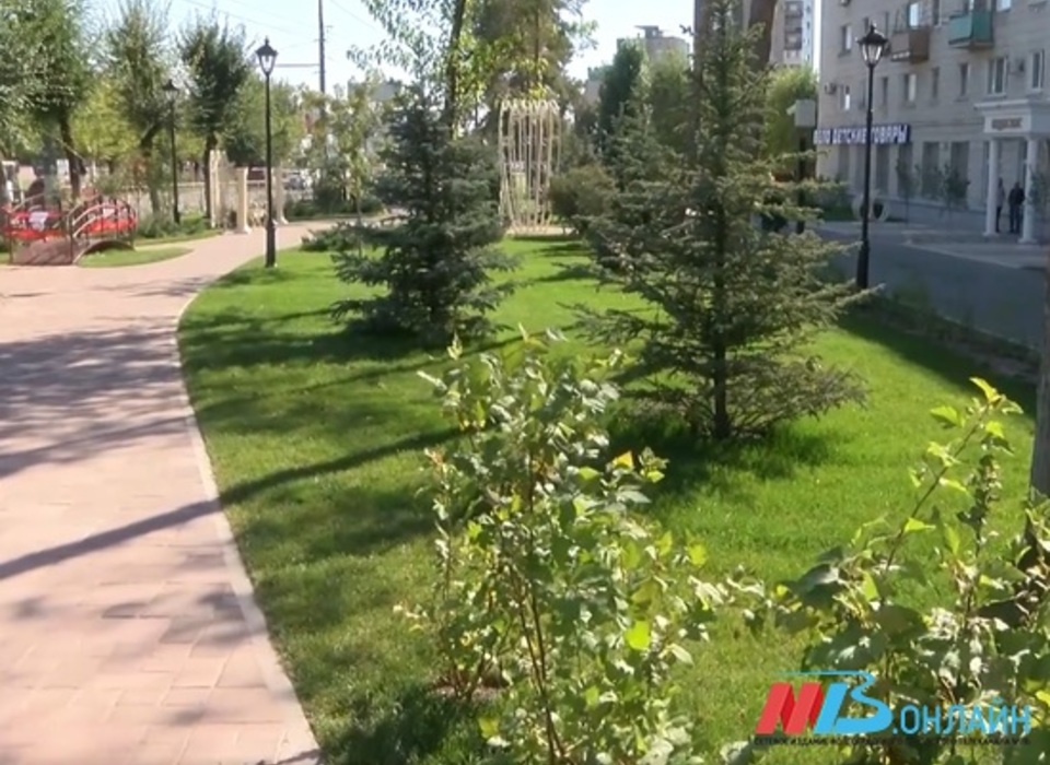 В Волгограде продолжается благоустройство проспекта имени Жукова