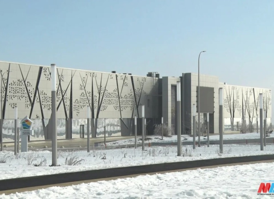 Синоптики рассказали, как долго продержатся январские морозы в Волгоградской области
