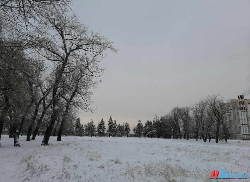 Днём 12 января волгоградцев ожидают 13-градусный мороз и сильный ветер