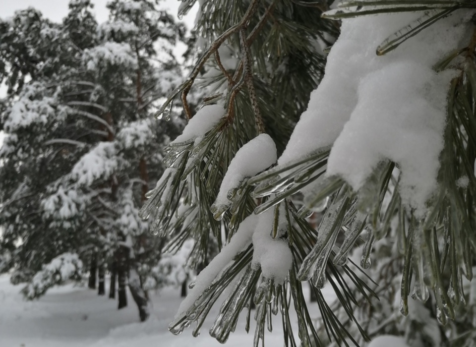 Ветер и снег при -18 градусах ожидаются в Волгоградской области 15 января