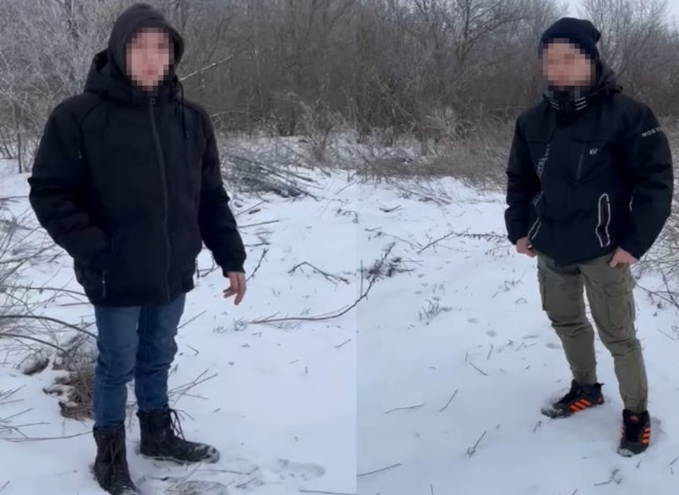 Под Волгоградом двое 17-летних парней убили собаку ради хайпа в интернете