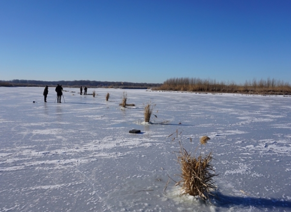 В Волгоградской области рыбу спасают от замора
