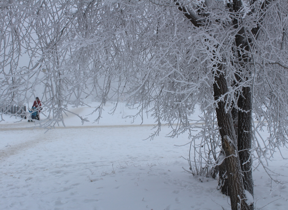 Снег, туман и до +4 ожидаются в Волгоградской области 31 января