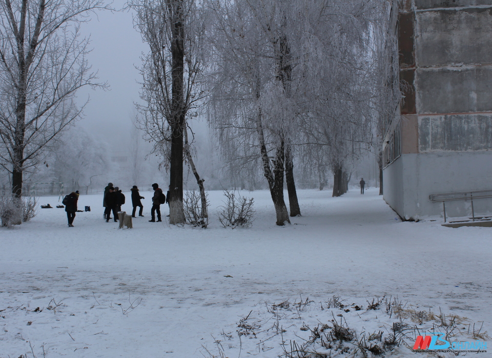 Жителей Волгограда ждут 10-градусные морозы с начала новой недели