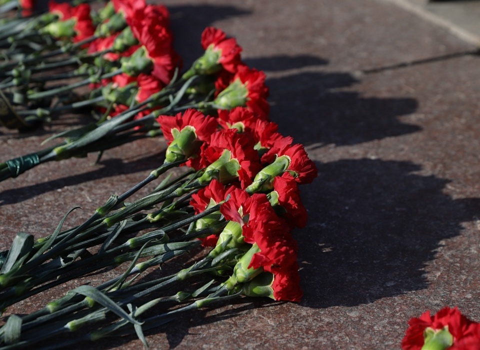 В День защитника Отечества в Волгоградской области проходят памятные мероприятия