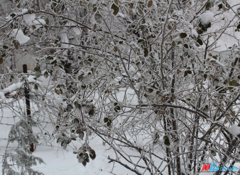 В Волгоградской области 24 февраля ожидается ясная погода, гололед и морозы