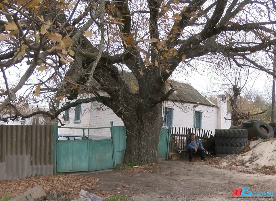Обезглавленный труп 37-летнего мужчины обнаружили на дачах под Волгоградом