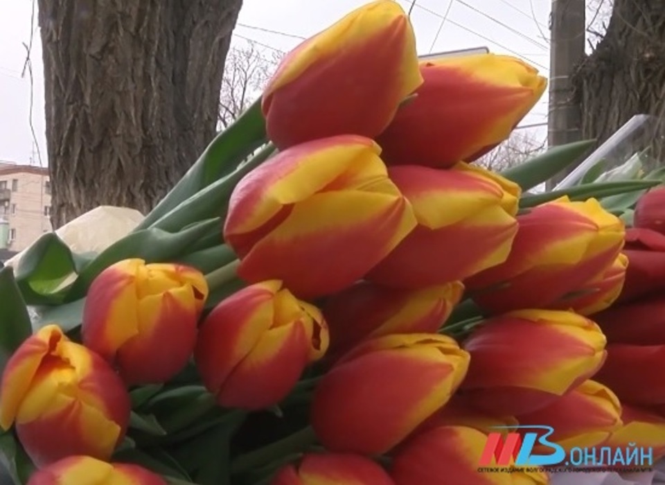 Волгоградскую область ожидает аномально теплое 8 марта