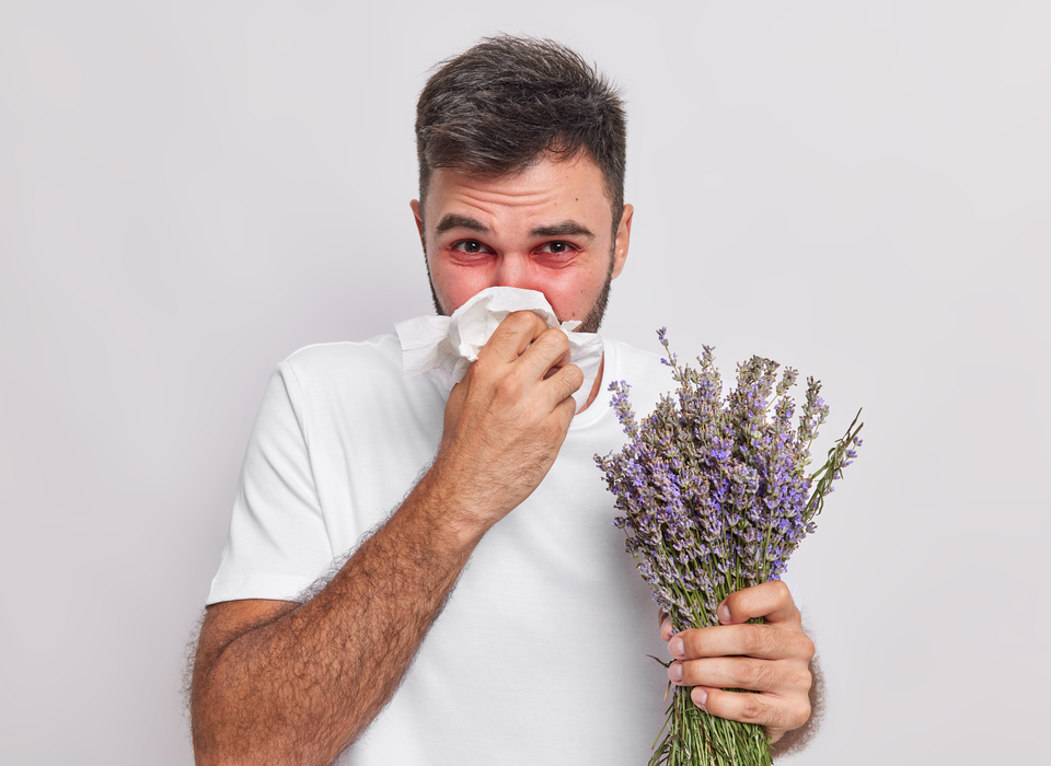 Эксперты назвали самые распространённые виды аллергии среди россиян