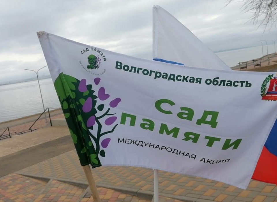 В Волгоградской области в 2023 году высадят более 900 000 деревьев