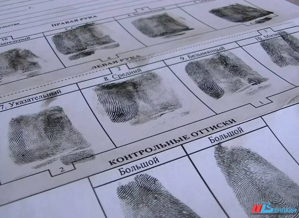 Астраханцев заподозрили в кражах из магазинов в Волгограде