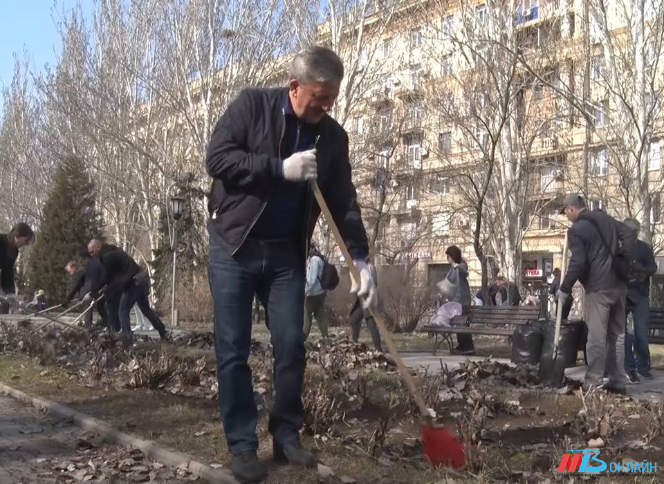 Глава Волгограда Владимир Марченко вышел на субботник вместе с горожанами