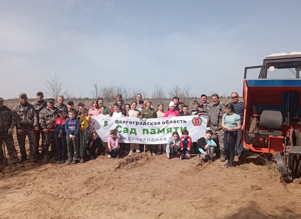 В рамках акции «Сад Памяти» под Волгоградом высадили 20 тыс. деревьев