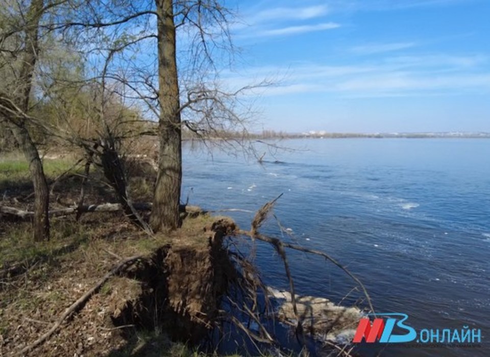 Под Волгоградом 57-летний мужчина упал в реку Кумылга и утонул