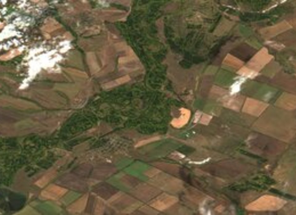 Волгоградские специалисты выявят участки лесовосстановления по снимкам из космоса