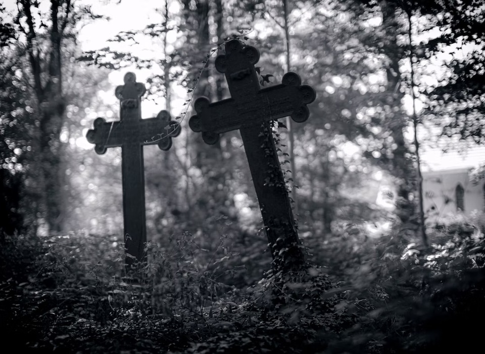 48-летний обнаженный житель устроил дебош на кладбище Волгограда