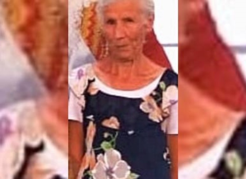 83-летнюю пенсионерку с протезом ищут под Волгоградом