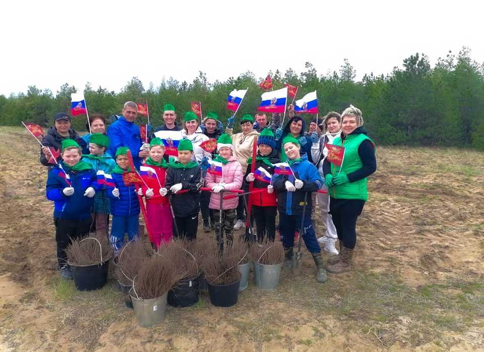 Железнодорожники Волгоградской области высадили 1,5 тысячи деревьев