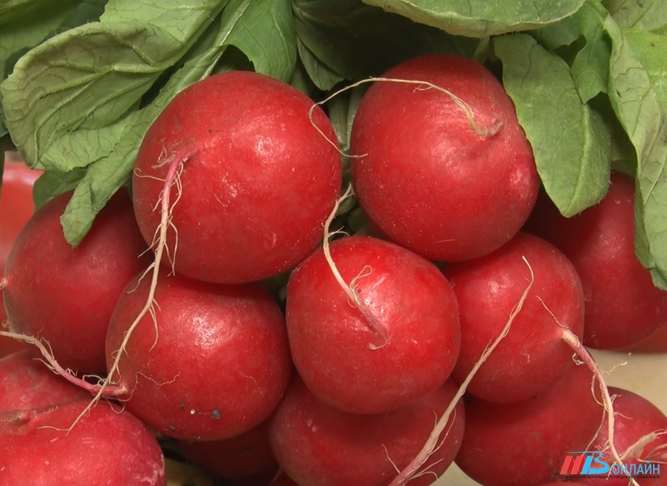 Волгоградцам назвали три корнеплода для укрепления здоровья в период простуд