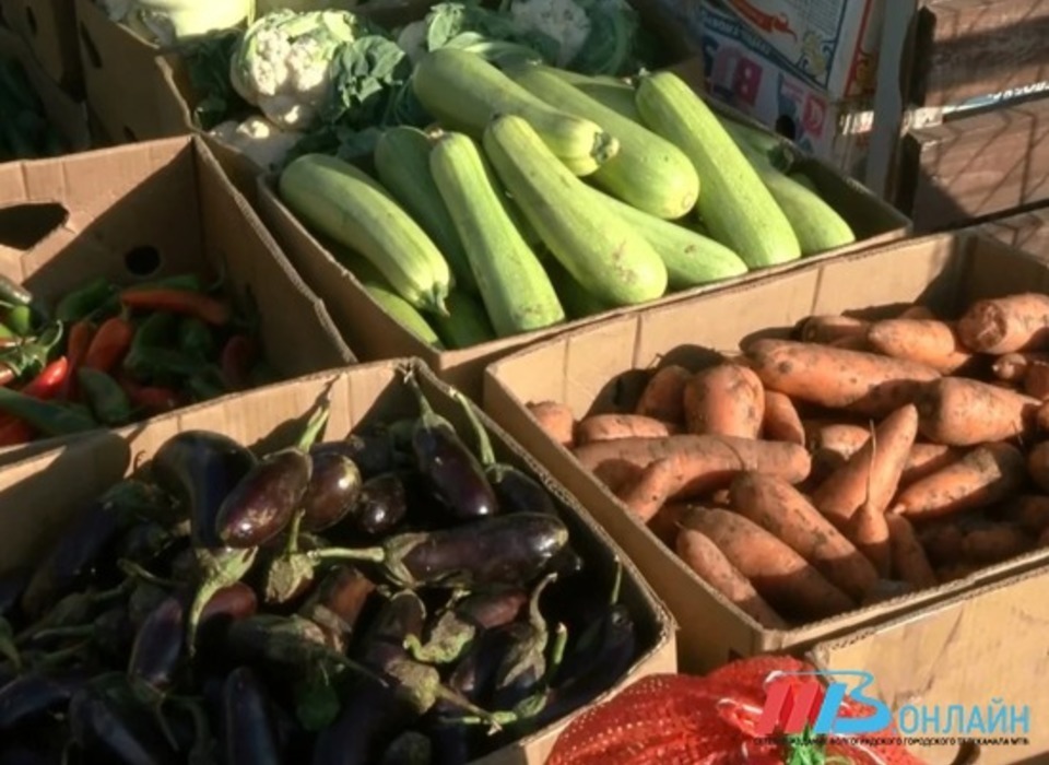 В Волгоградской области изменились цены на лук, морковь и капусту