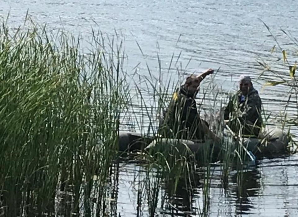 Специалисты природного парка в Волгоградской области спасают выхухоль от браконьеров