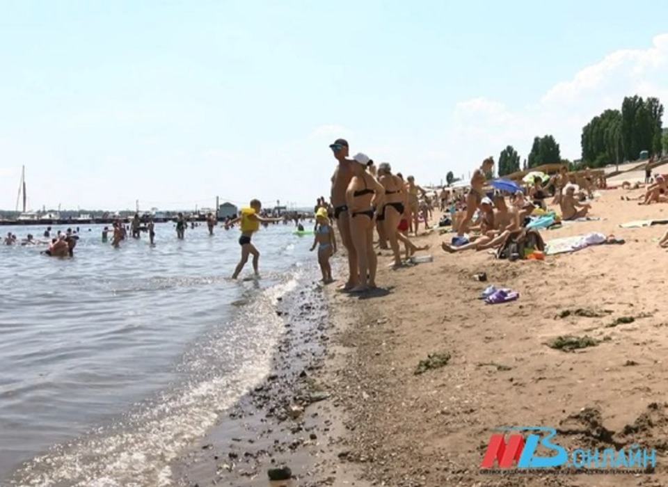 Жара до +42 градусов ожидается в Волгоградской области с 7 по 9 июля