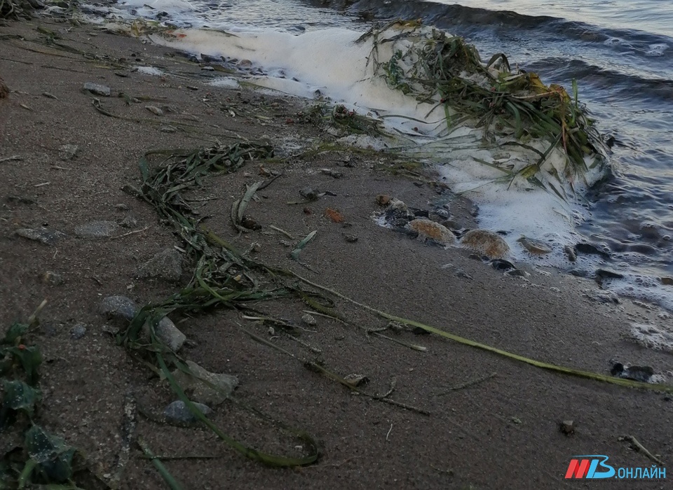 В Волгоградской области продолжается очистка водоёмов