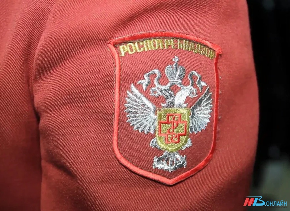 В Волгоградской области зафиксировано 2217 случаев нападения клещей на человека