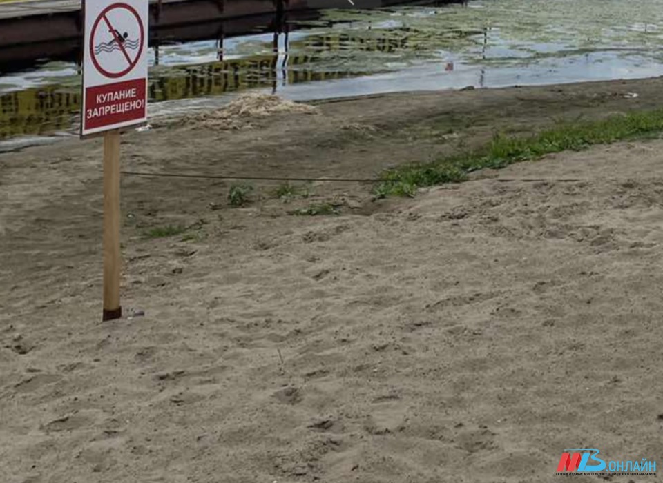 Двое граждан Узбекистана утонули на диком пляже под Волгоградом