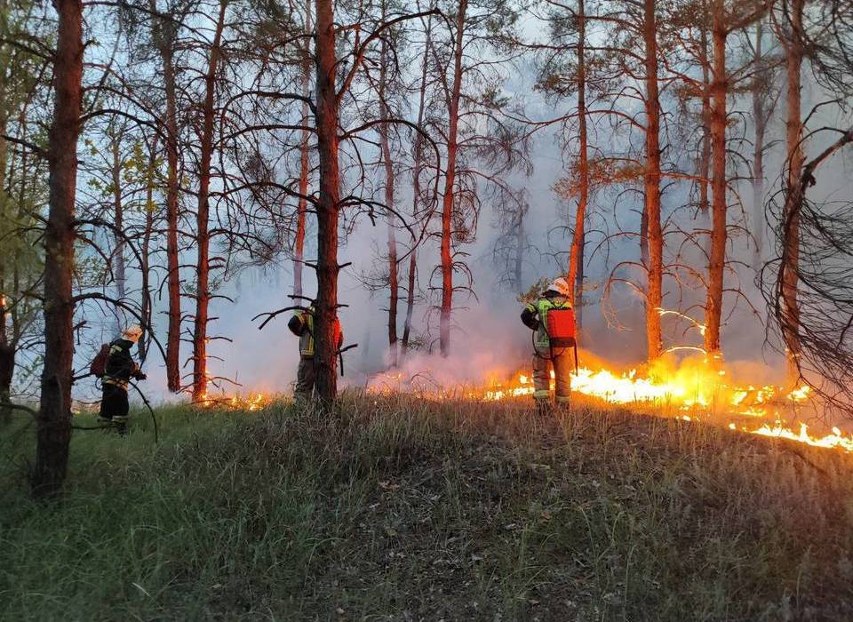 Тушение пожара под Волгоградом попало на видео