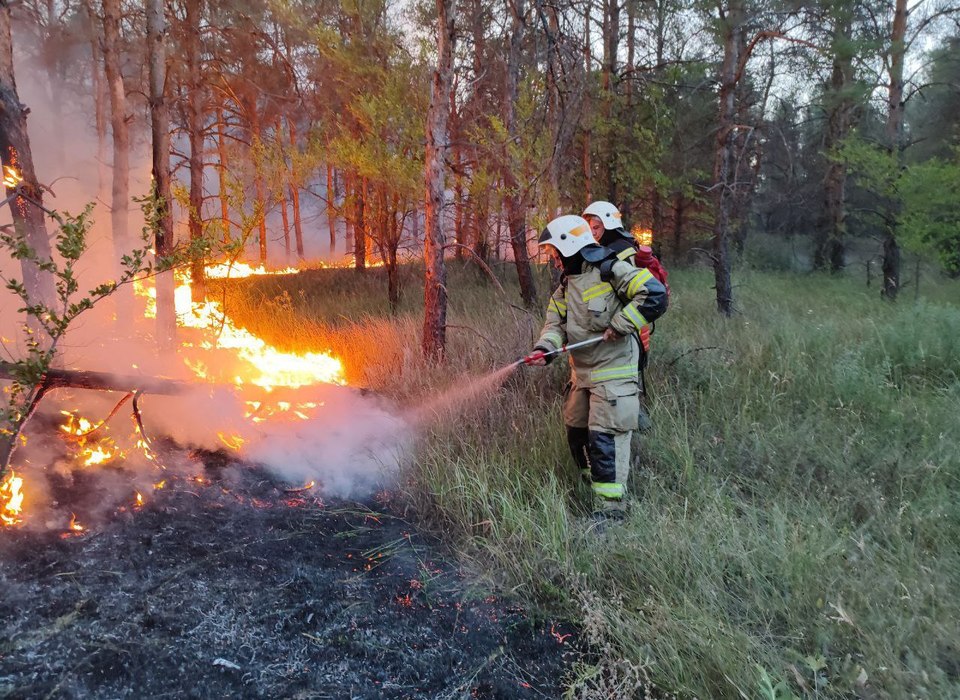 Площадь пожара рядом с полигоном Минобороны в Волгоградской области составила 1000 га