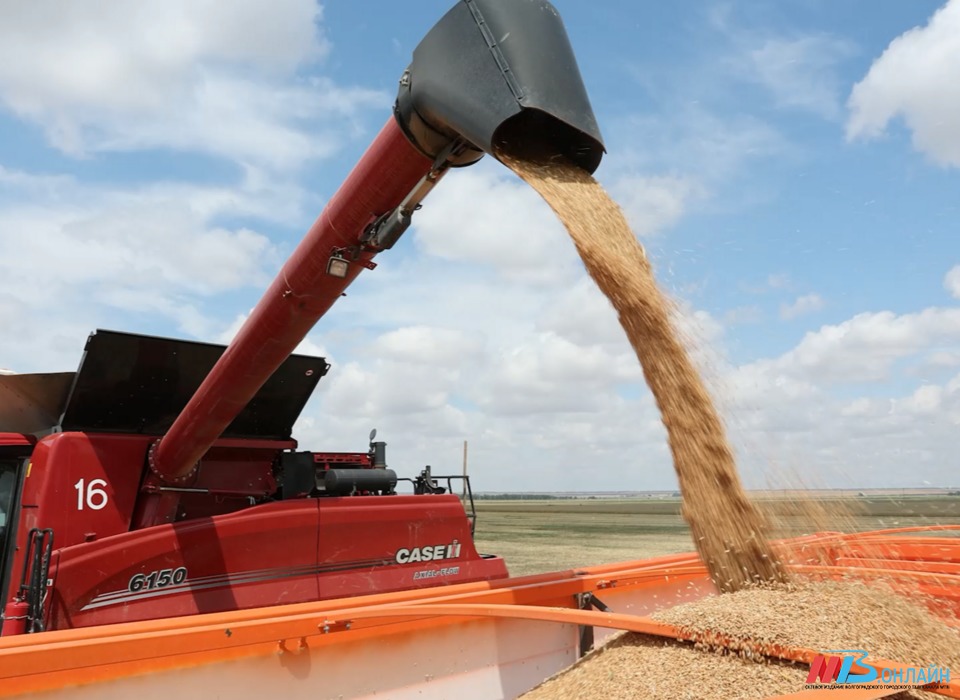 В Волгоградской области собрали 3,6 млн тонн зерна
