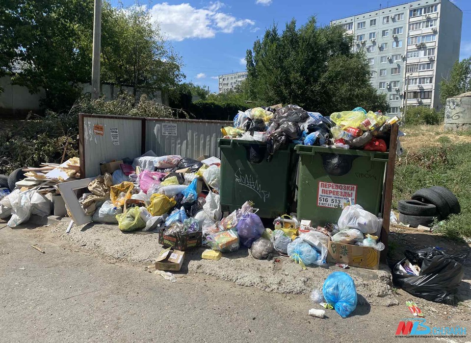 Новый регоператор Волгоградской области вывез 1600 тонн мусора