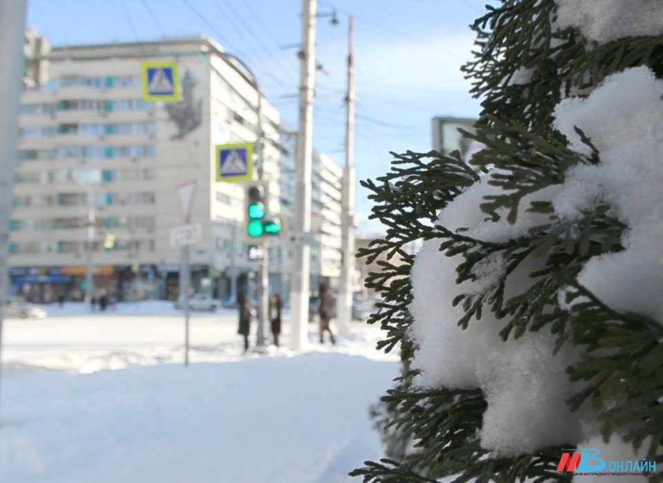 Метель и до -18 градусов ожидаются в Волгоградской области 12 января