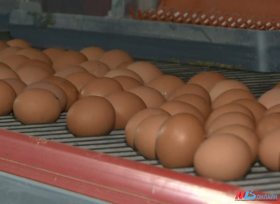 Волгоградцы покупают куриные яйца за 86 рублей