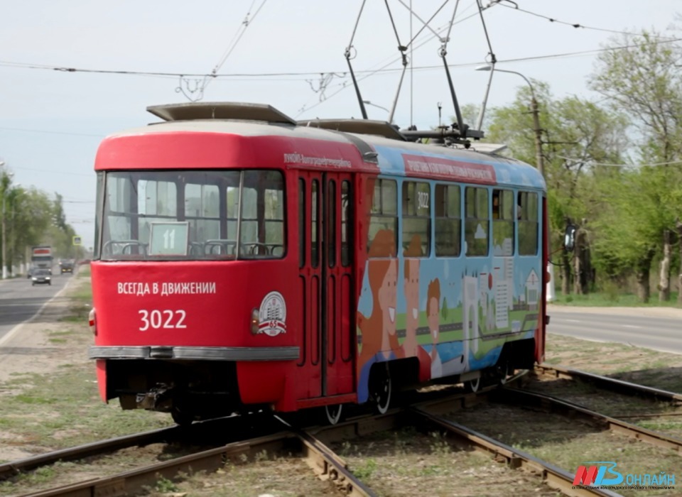 Изменение расписания трамваев под Волгоградом перенесли на 2 недели