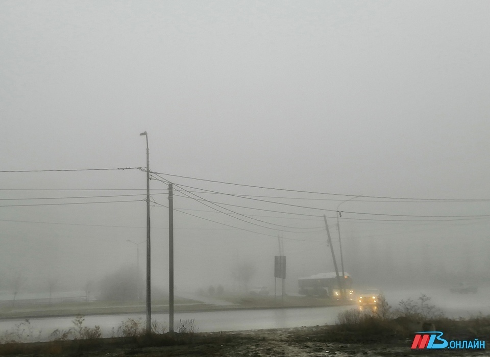 В Волгоградской области ожидаются дождь со снегом и туман при +8º
