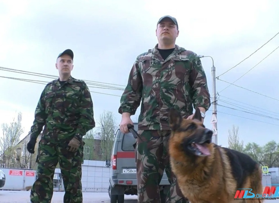 В городе под Волгоградом вывели учеников из школы из-за звонка с угрозой