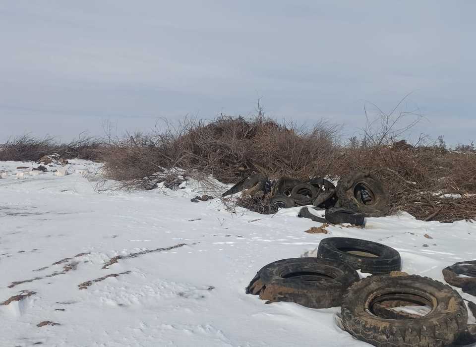 В Волгоградской области выявили факт незаконного размещения отходов