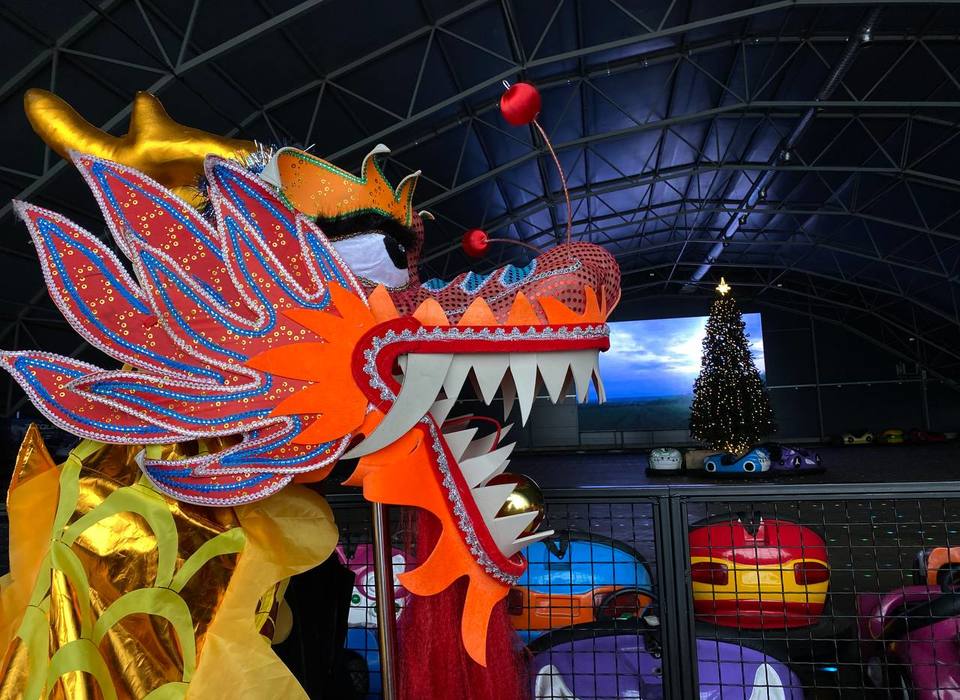 Волгоградцы наденут маски драконов и встретят китайский Новый год
