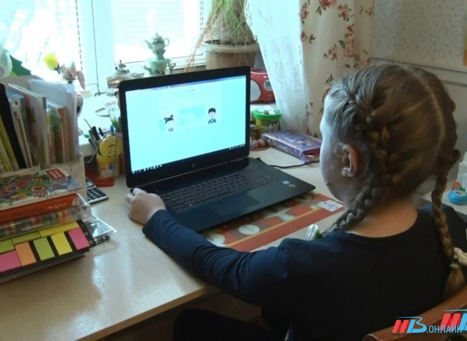Волгоградские родители стали больше тратить на онлайн-обучение детей