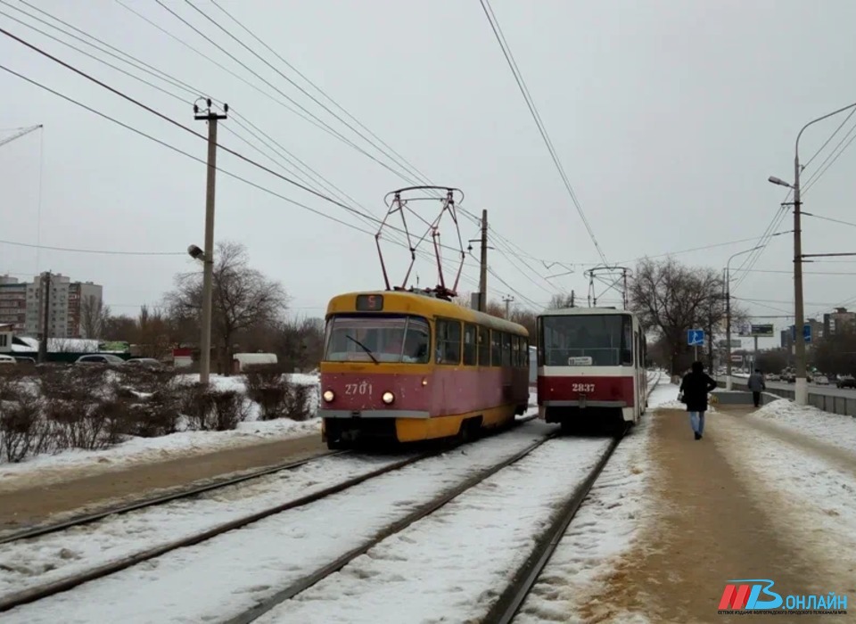 Бесплатные маршрутки запустили на Ангарском в Волгограде вместо трамваев
