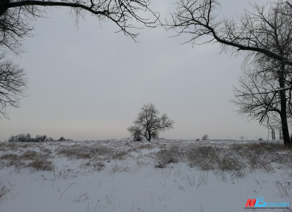 Мороз -19º ударил в Волгоградской области