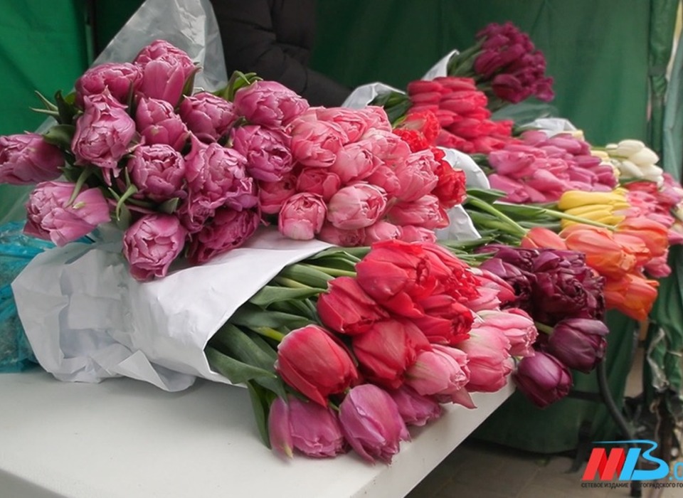 Жительницы Волгограда хотят на 8 марта получить цветы, путешествия и деньги