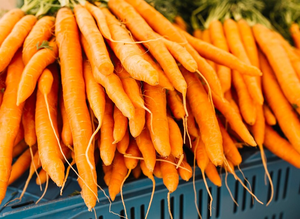 Из Волгоградской области в Казахстан экспортировали 140 тонн моркови